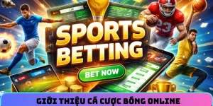 Giải mã cá cược bóng online