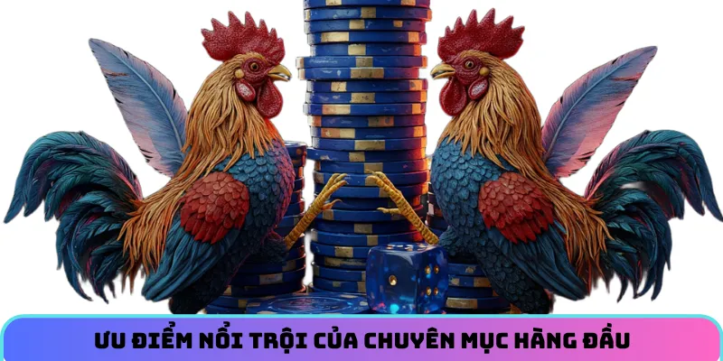Ưu điểm nổi trội của chuyên mục hàng đầu