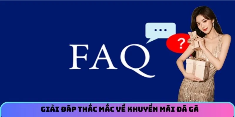 Giải đáp thắc mắc về khuyến mãi đá gà