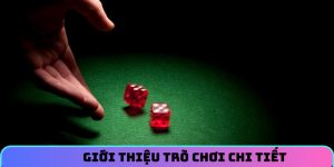 Giới thiệu trò chơi chi tiết
