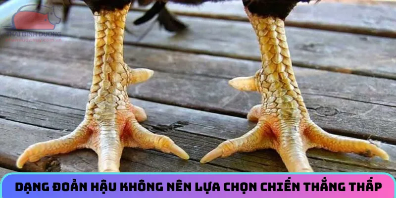 Dạng đoản hậu không nên lựa chọn bởi vì khả năng chiến thắng thấp